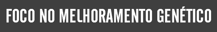 FOCO NO MELHORAMENTO GENÉTICO