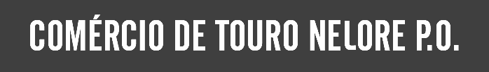 COMÉRCIO DE TOURO NELORE P.O.